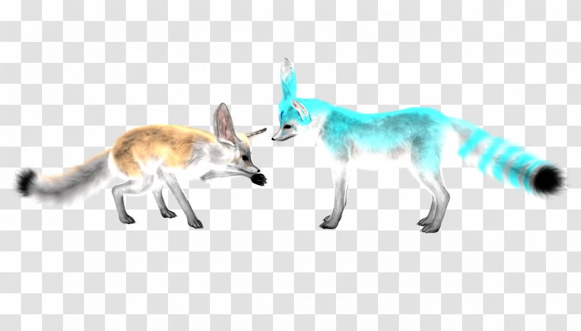 Cat Fox Illustration - Dog Like Mammal - Two Sly Transparent PNG