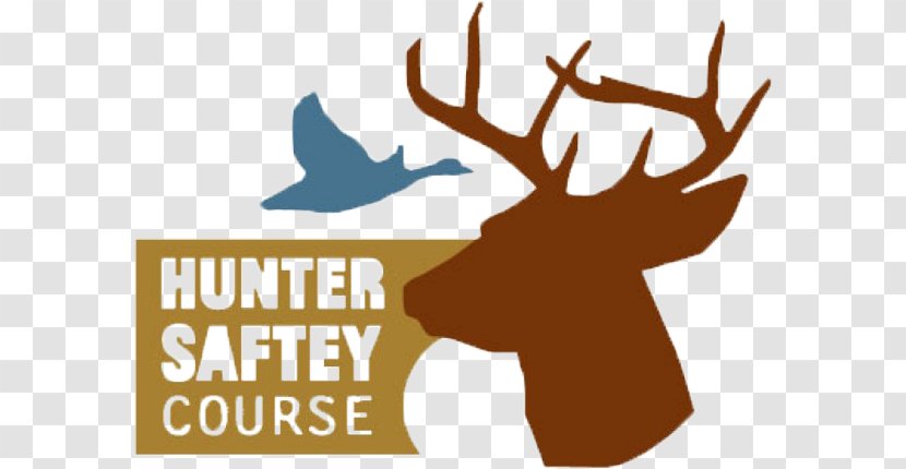 Education Hunting Safety Course Class - Deer - Educational Flyer Transparent PNG