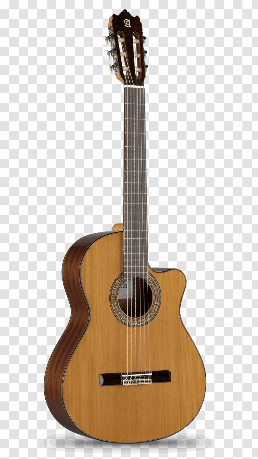 Steel-string Acoustic Guitar Classical Acoustic-electric - Silhouette - Gmail Transparent PNG