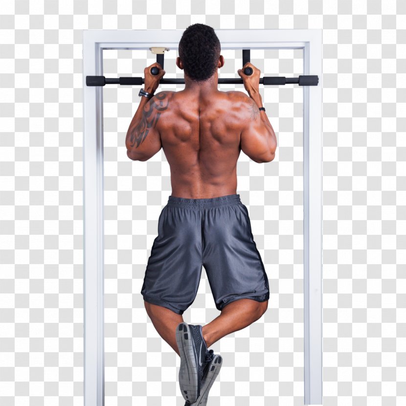 Weight Training Fishpond Limited Pull-up New Zealand Strength - Tree - Pull Up Transparent PNG
