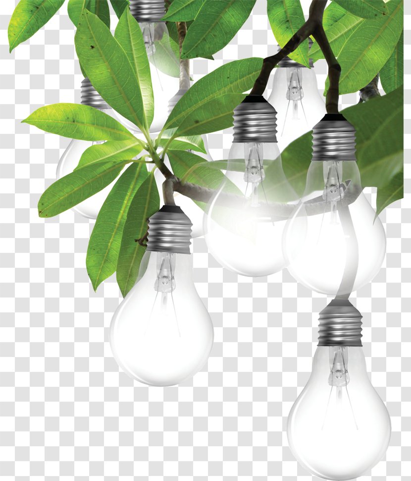 Incandescent Light Bulb Lighting LED Lamp Light-emitting Diode - Lamps Transparent PNG