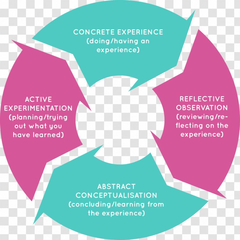 Learning Cycle Kolb's Experiential Reflective Practice - Diagram - School Transparent PNG