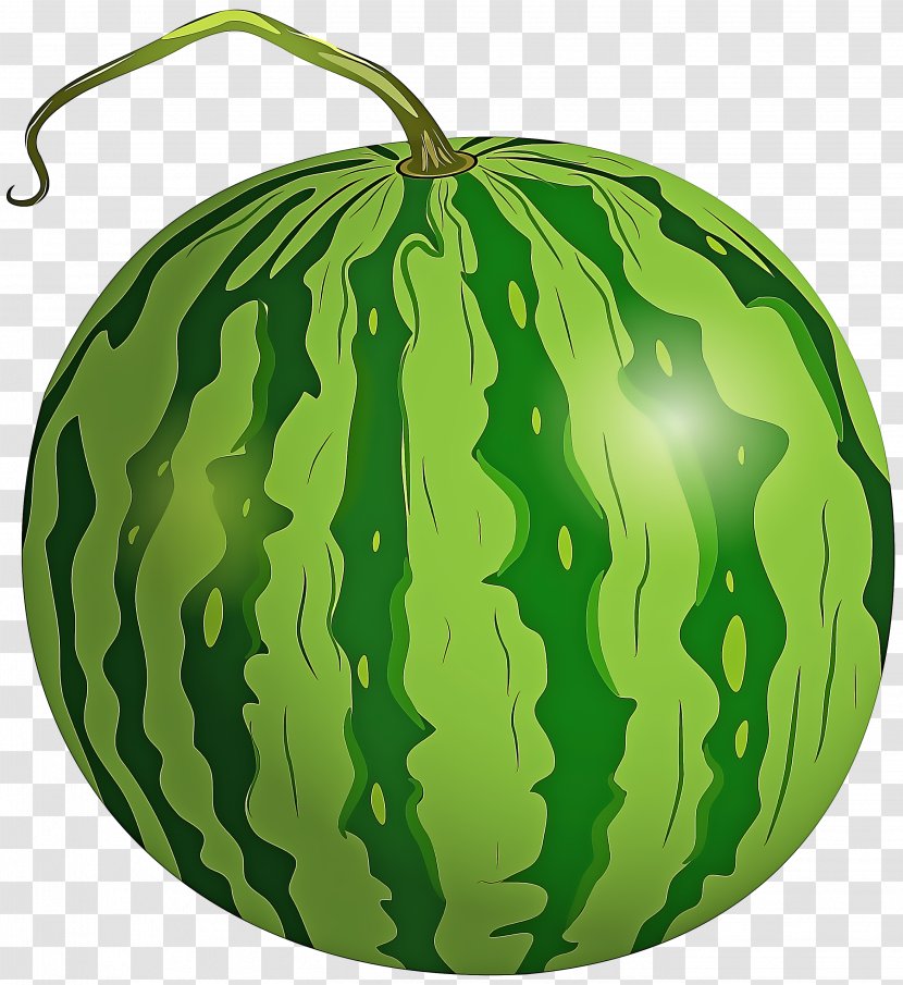 Watermelon - Cucurbita - Vegetable Transparent PNG