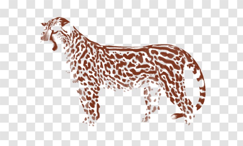 Cat Giraffe Leopard Lion Jaguar - Acinonyx Jubatus Soemmeringii - Cheetah Transparent PNG
