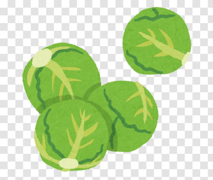 Fruit Brussels Sprout Cabbage Food プチヴェール - Savoy - Veggi Transparent PNG
