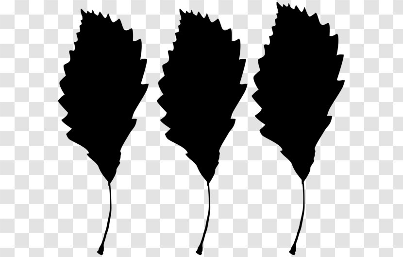 Black & White - Flower - M Font Silhouette Line Leaf Transparent PNG
