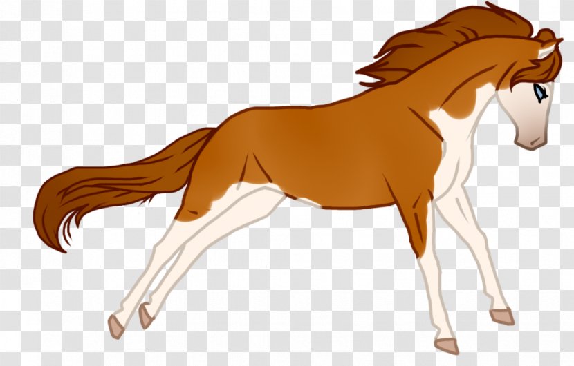 Foal Stallion Mane Colt Mustang - Saddle - Kentucky Derby Transparent PNG