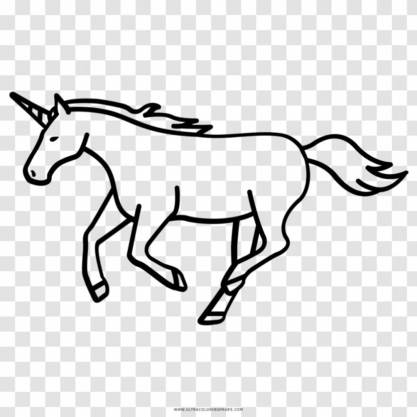 Mule Unicorn Pony Drawing Mustang - Point Transparent PNG