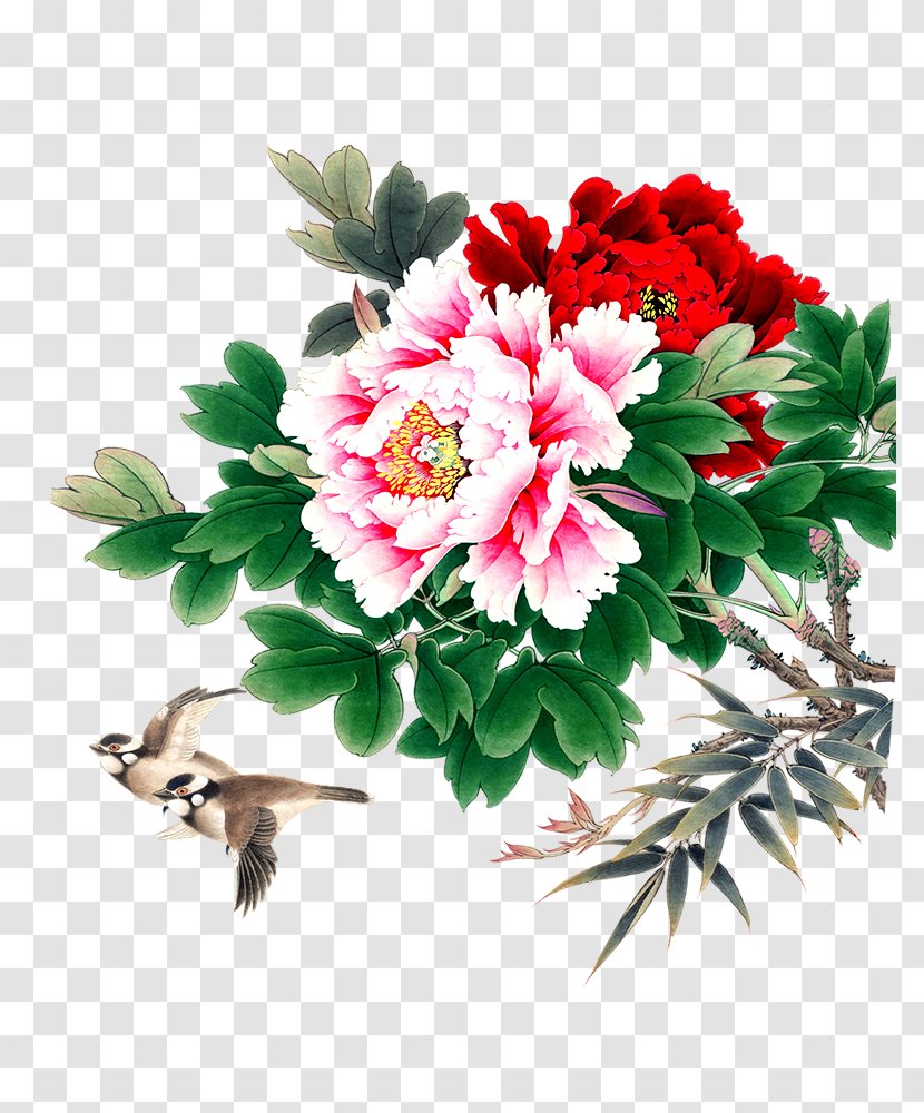 Moutan Peony Bird-and-flower Painting - Flower - Traditional Chrysanthemum Transparent PNG