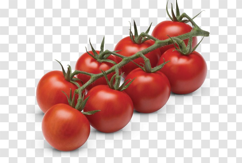 Cocktail Tomate Fruit Vegetable Cherry Tomato - Plum Transparent PNG