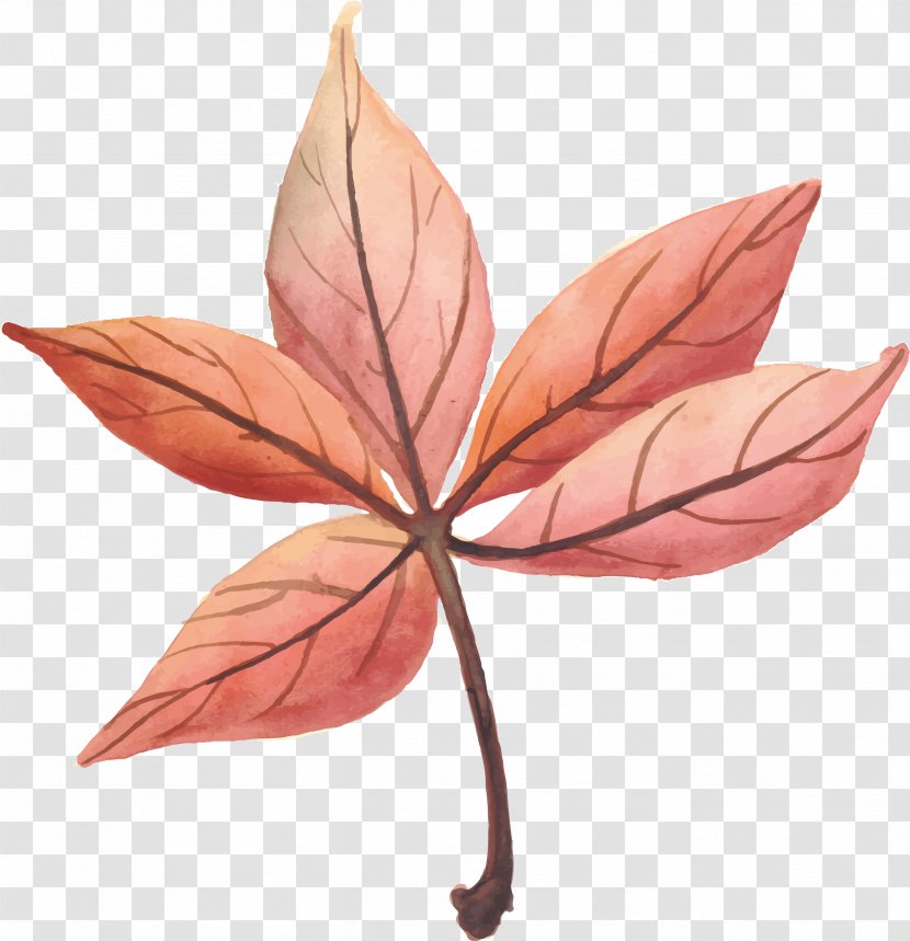 Leaf Autumn Euclidean Vector - Pink Leaves Transparent PNG