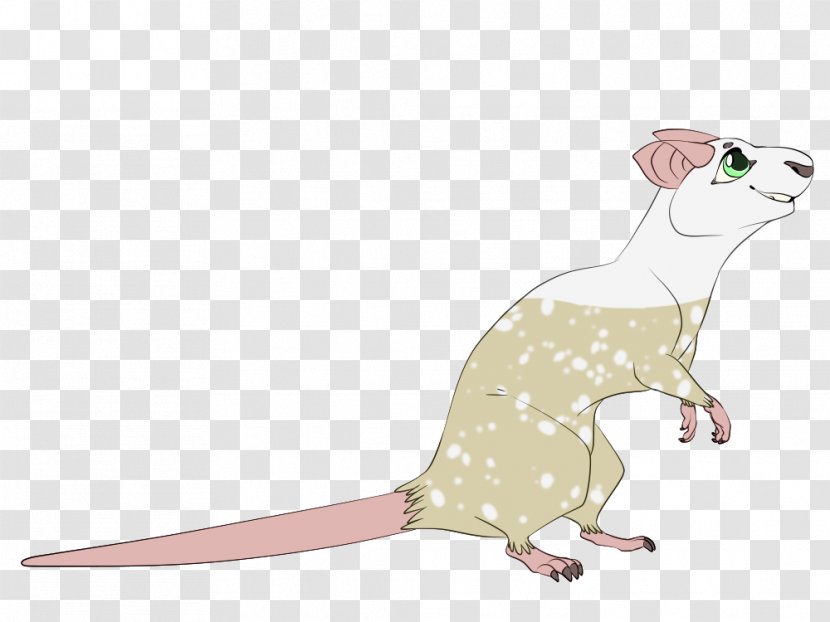 Rat Rodent Reptile Dog Mammal - Like - & Mouse Transparent PNG