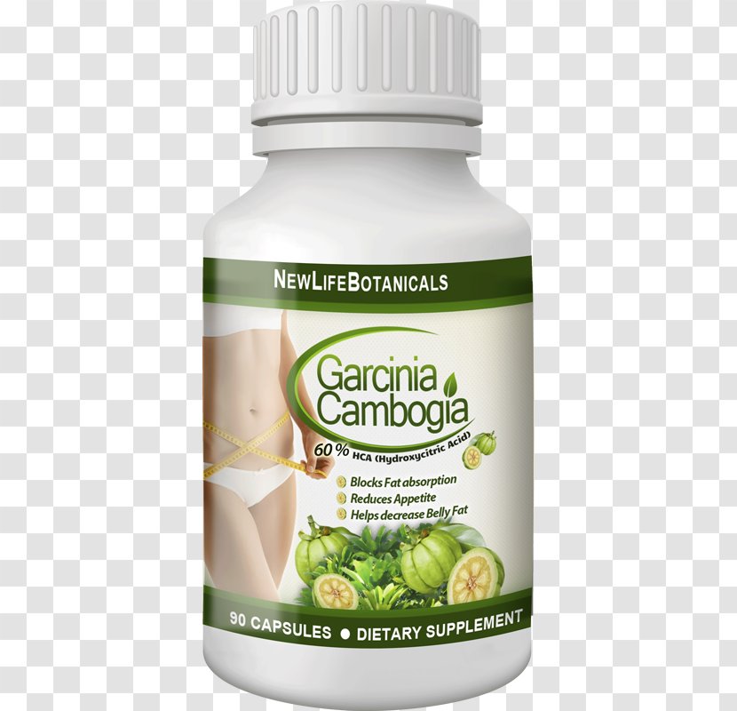 Garcinia Cambogia Hydroxycitric Acid Dietary Supplement Coffee Indica Transparent PNG