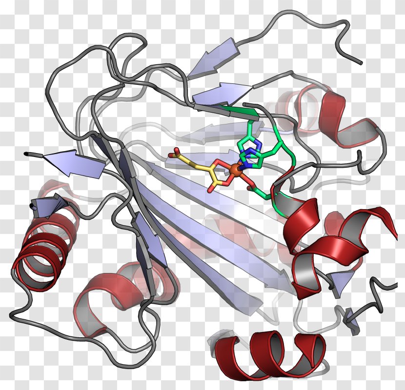 Phytanoyl-CoA Dioxygenase Hydroxylation Procollagen-proline Alpha-Ketoglutaric Acid - Silhouette - Pymol Transparent PNG