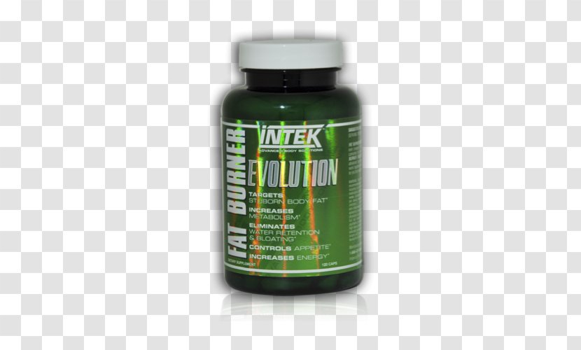 Dietary Supplement Fatburner Branched-chain Amino Acid Metabolism Evolution - Fat - Weight Loss Transparent PNG