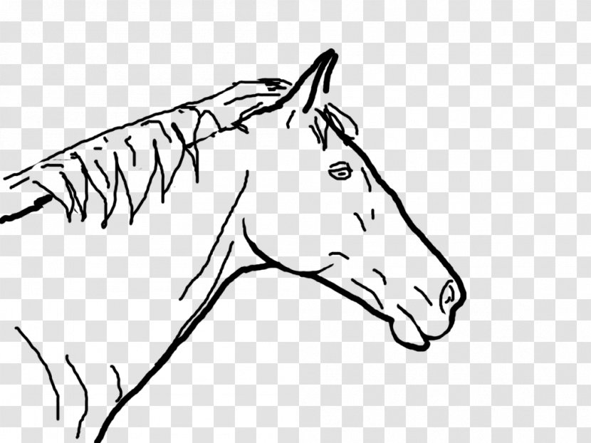 Mule Halter Foal Colt Mustang - Line Art - Horsehead Printing Transparent PNG