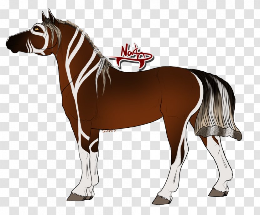 Stallion Mustang Mule Pony Mare - Mane - National Treasure Transparent PNG