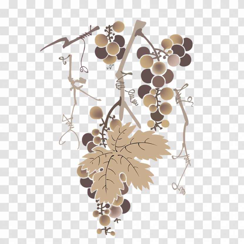 Common Grape Vine White Wine Vector Graphics - Leaves - Plane Transparent PNG