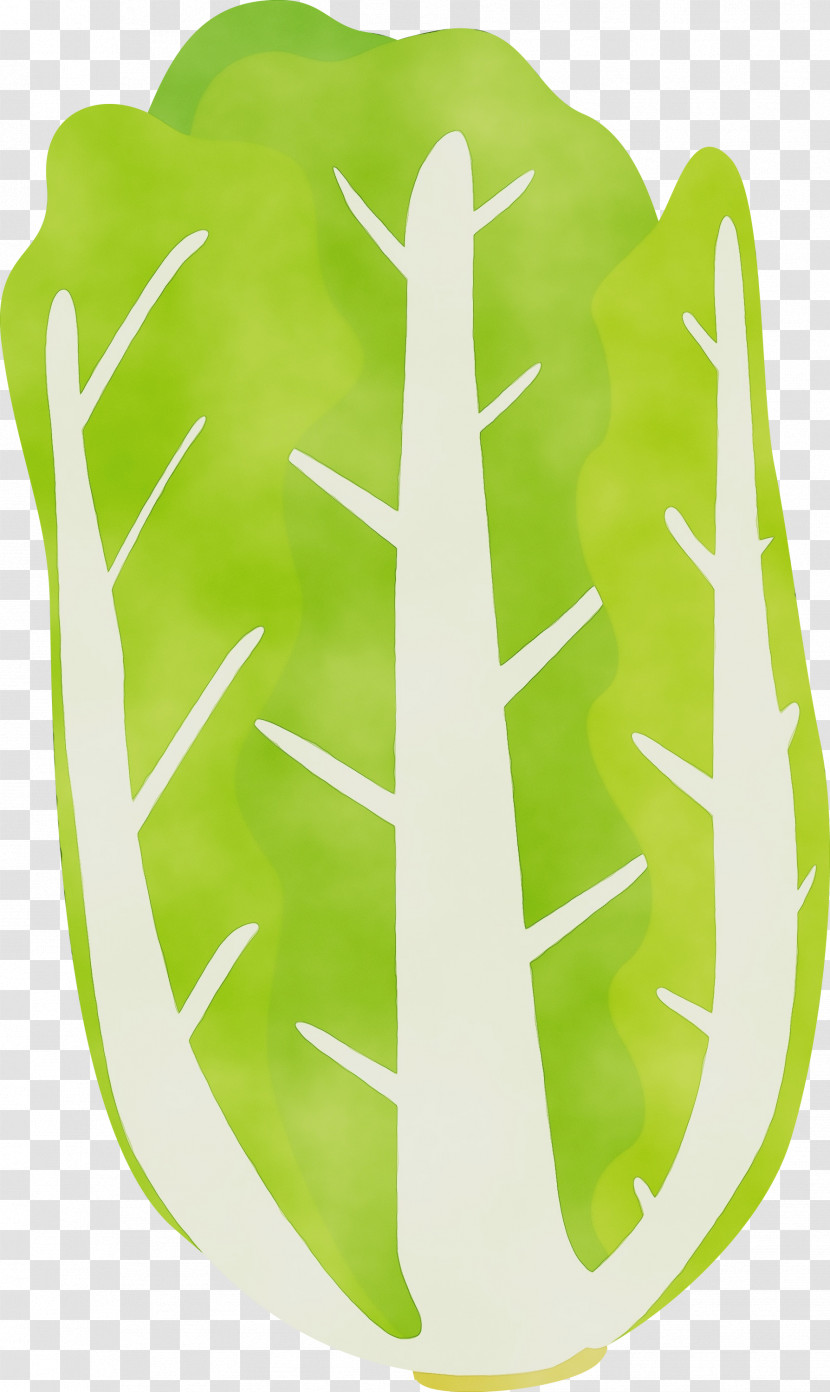 Green Yellow Leaf Transparent PNG