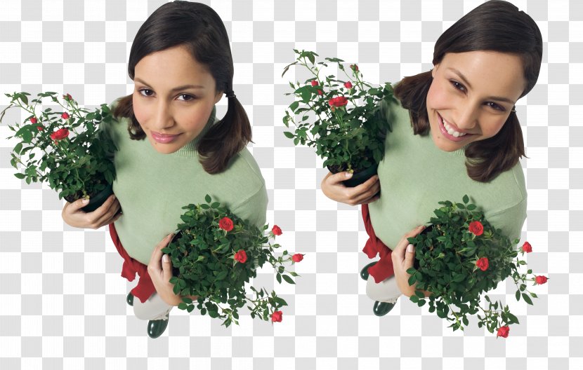 Woman Floral Design Garden Roses JPEG - Christmas Decoration Transparent PNG