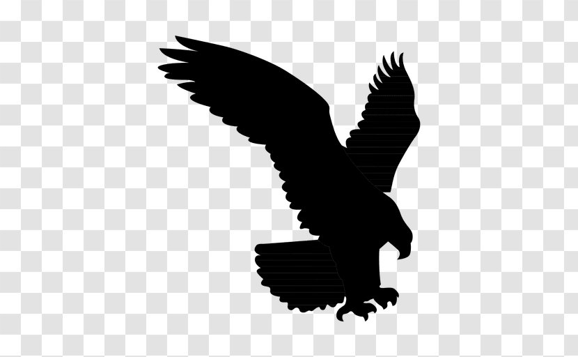 Bald Eagle Silhouette Owl Vector Graphics - Wing - Hawk Transparent PNG