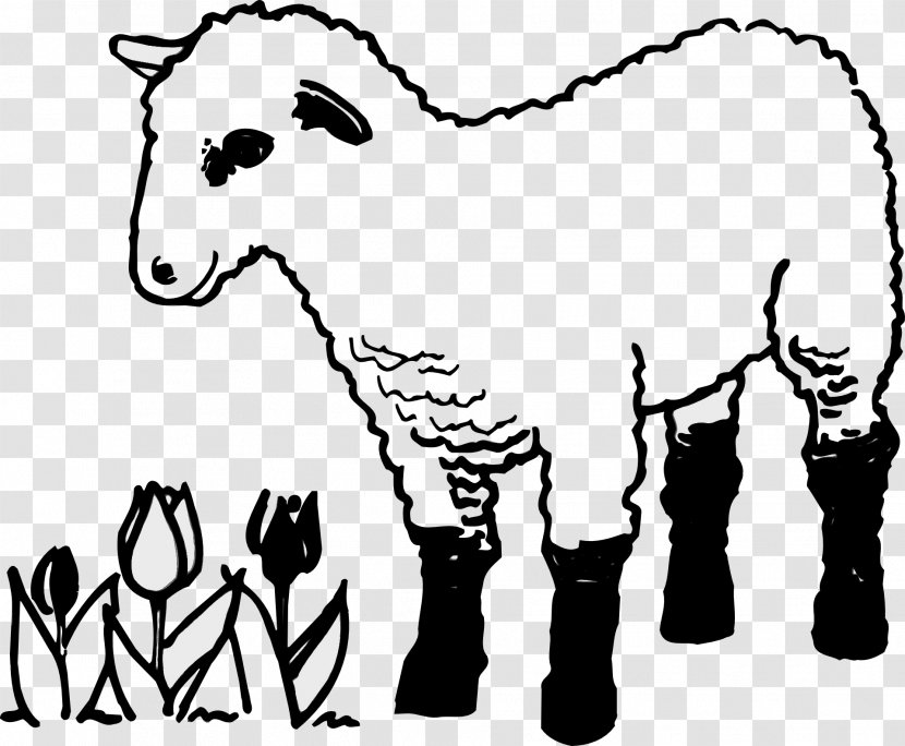 Sheep Coloring Book Child Lamb And Mutton Cattle - Snout Transparent PNG