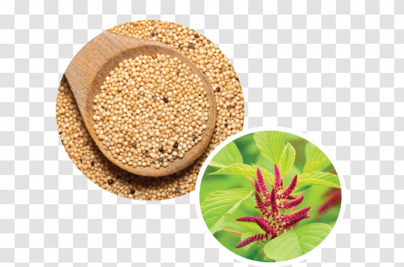 Superfood Vegetarian Cuisine Amaranth Grain - Food - Seeds Transparent PNG