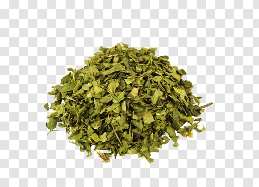 Greek Cuisine Italian Oregano Spice Summer Savory - Nilgiri Tea - Tieguanyin Transparent PNG