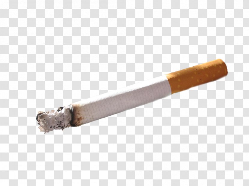 Cigarette Tobacco Smoking Blunt - Tree - Cigar Transparent PNG