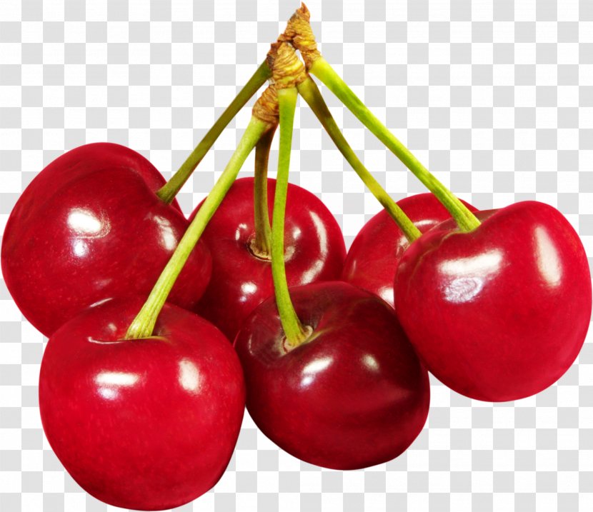Cherry Fruit - Acerola Family - Red Image, Free Download Transparent PNG