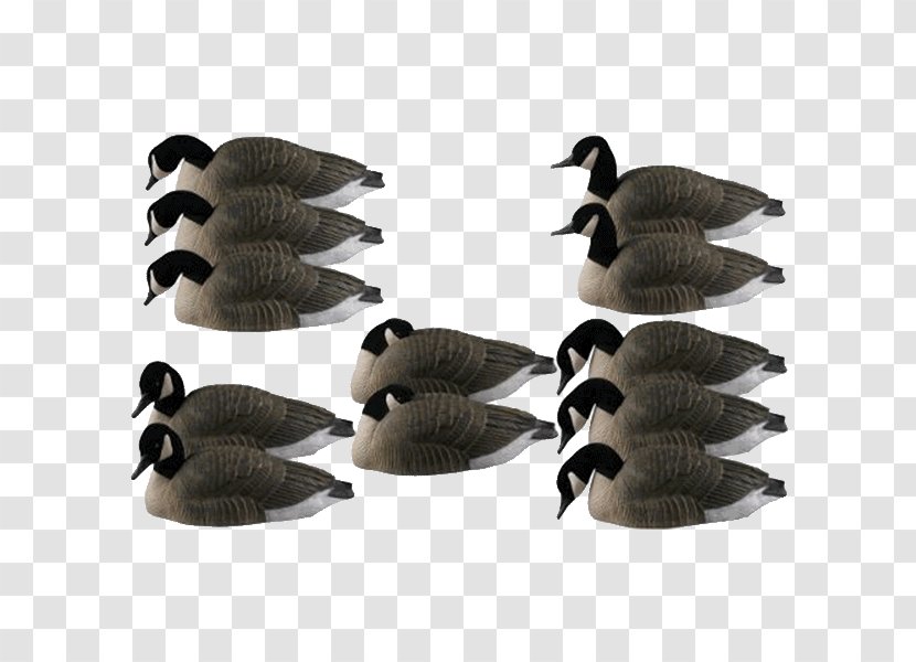 Canada Goose Duck Mallard Decoy Transparent PNG