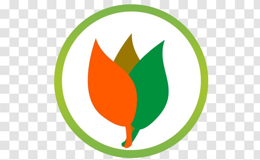 Green Logo Fruit Clip Art - Artwork - Orange Transparent PNG