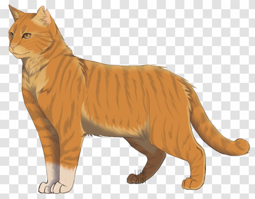 Warriors Thunderstar The Sun Trail Erin Hunter Leafpool - Cat Like Mammal - Lithe Transparent PNG