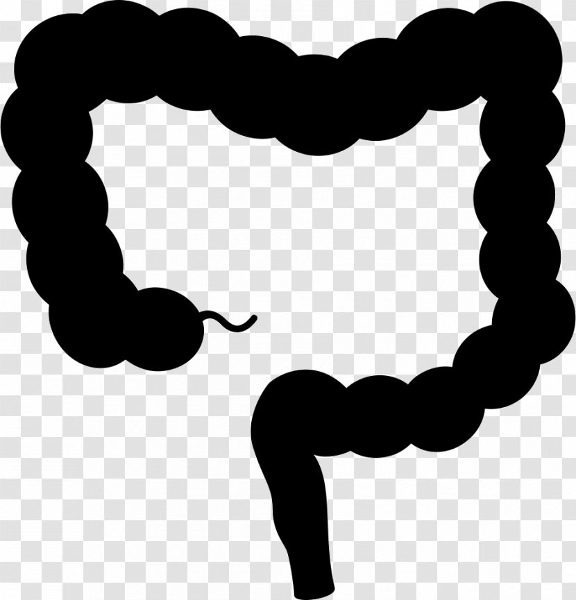 Large Intestine Clip Art Colorectal Cancer - Health - Intestines Transparency And Translucency Transparent PNG