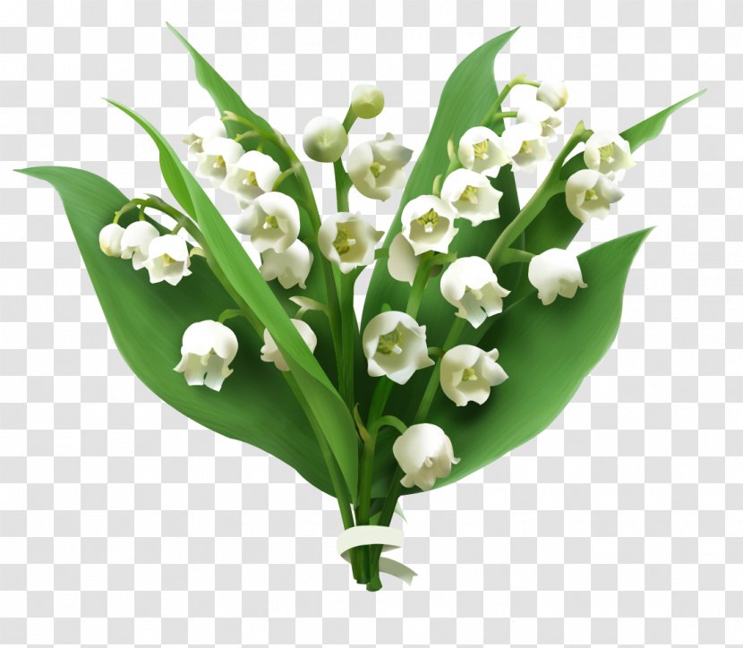 Lily Of The Valley Flower Computer Software - User Interface Design Transparent PNG