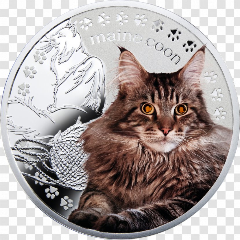 Maine Coon Norwegian Forest Cat Dragon Li Whiskers Domestic Short-haired - California Spangled - Coin Transparent PNG