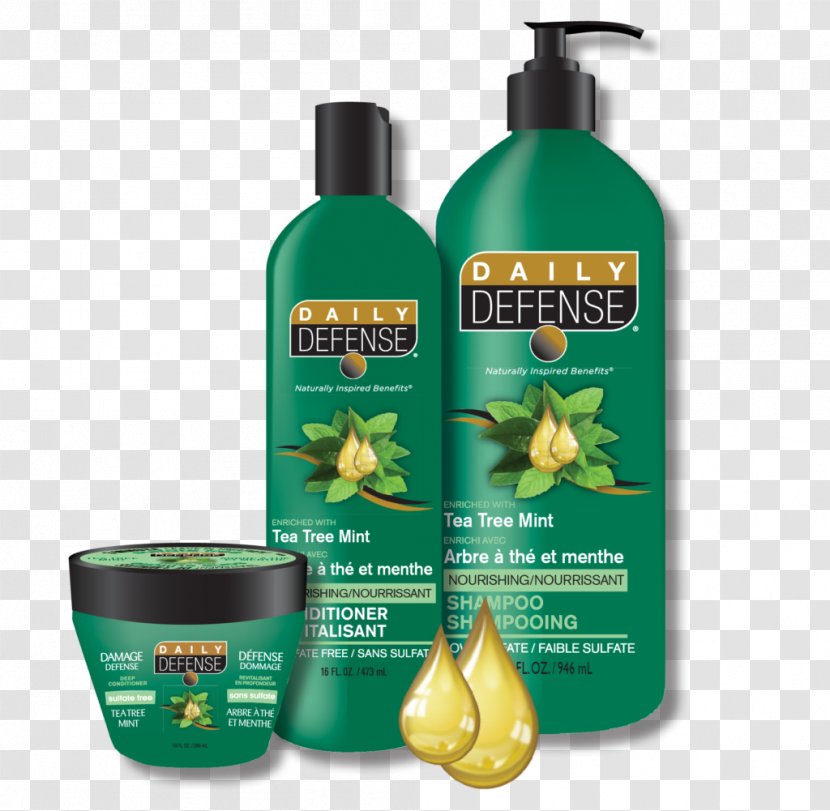 Tea Tree Oil Hair Conditioner Shampoo Narrow-leaved Paperbark Teatree - Health Beauty - Replenishing Transparent PNG