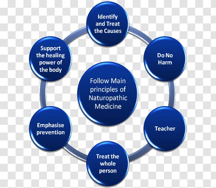 Retail Business Plan Model Management - Principles Of Design Emphasis Transparent PNG