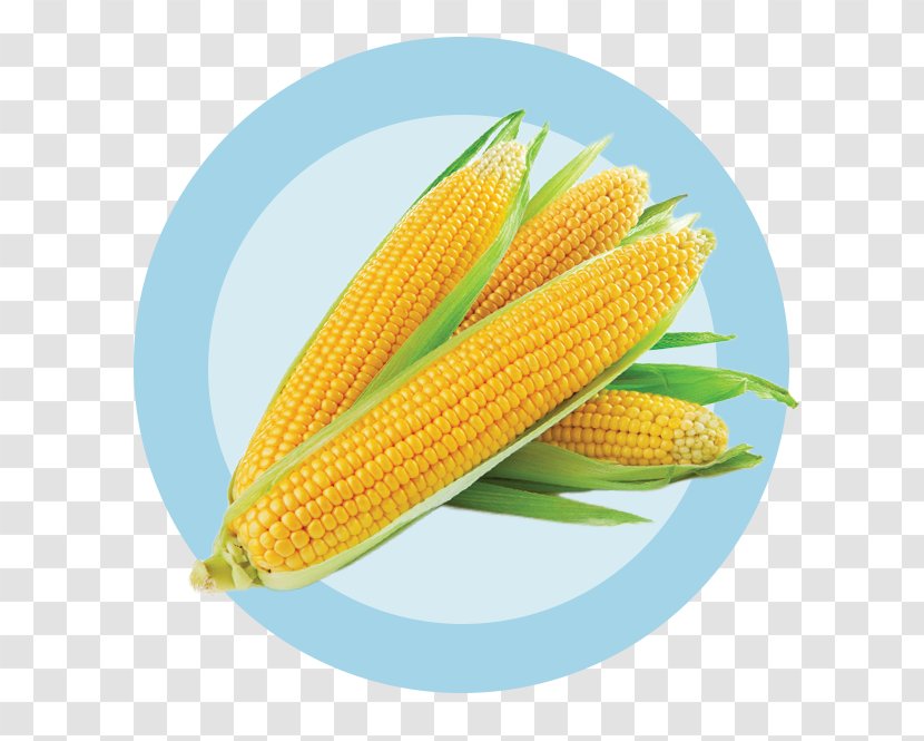 Corn On The Cob Maize Kernel Sweet Ingredient - Coconut Oil Transparent PNG