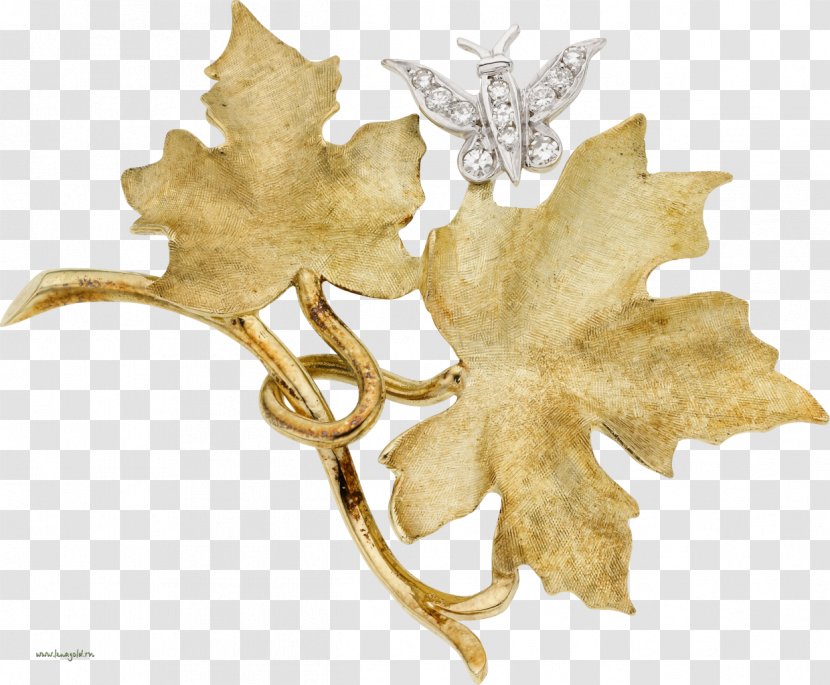 Leaf Прикраса Brooch Clip Art - Yellow Transparent PNG