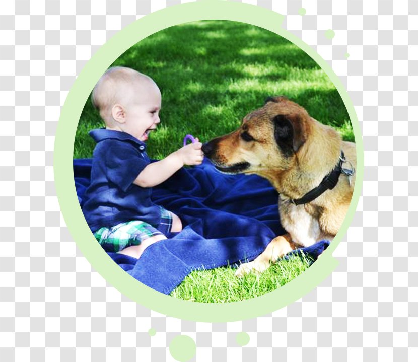 Dog Breed Pet Puppy Leash - Poo Transparent PNG