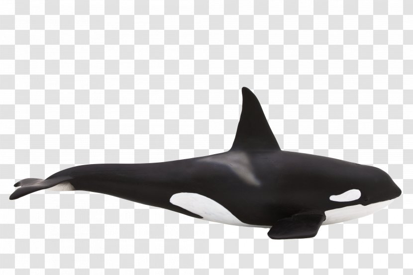 Toy Killer Whale Cetacea Doll Animal - Whales Dolphins And Porpoises Transparent PNG