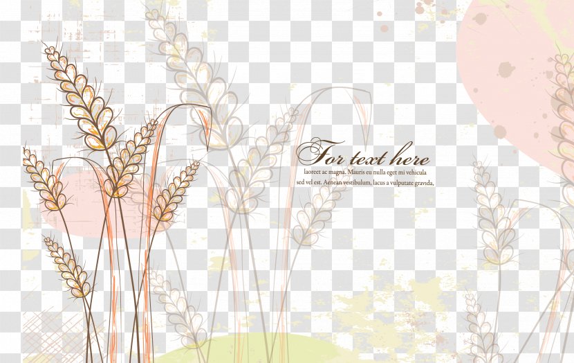 Download Flower - Photography - Wheat Background Transparent PNG