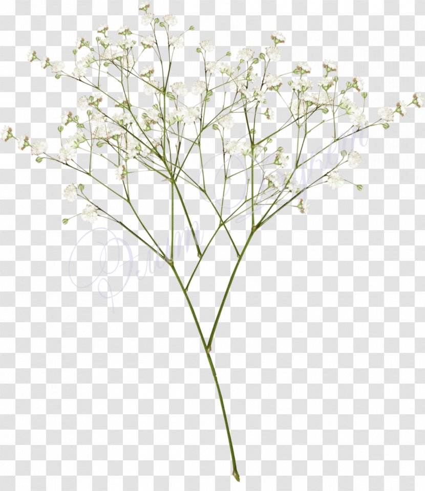 Yekaterinburg Flower Bouquet Baby's-breath Garden Roses - Twig Transparent PNG