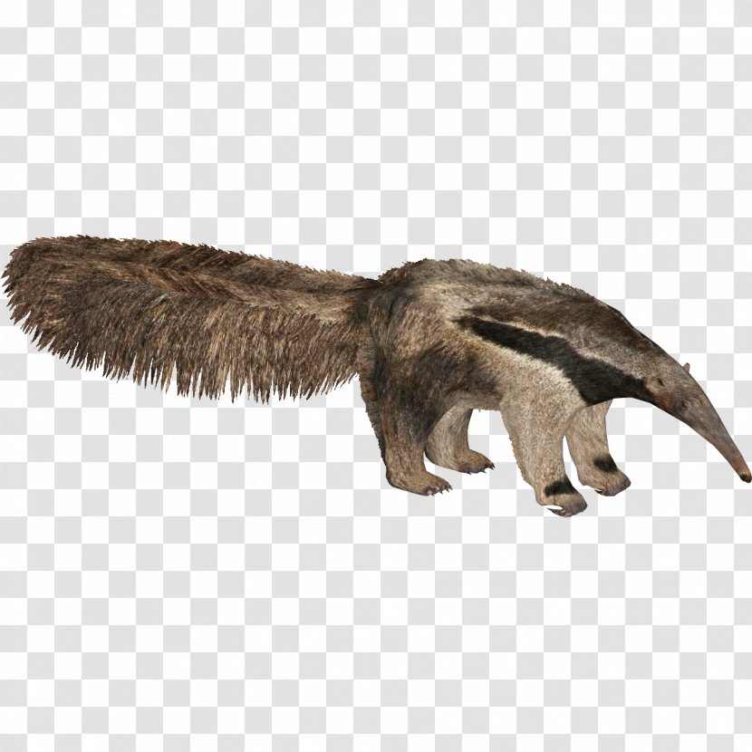 Giant Anteater Zoo Tycoon 2 Prairie Dog - Wing Transparent PNG