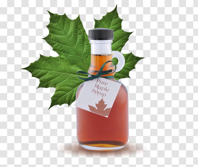 Canadian Cuisine Maple Syrup Butter Sugar - Shack Transparent PNG