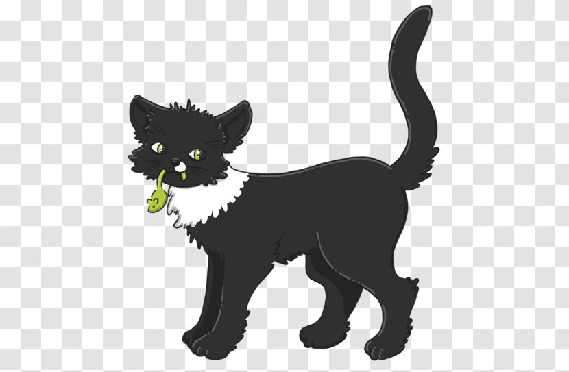 Black Cat Kitten Whiskers Domestic Short-haired Wildcat - Dog - Top View Orange Juice Transparent PNG