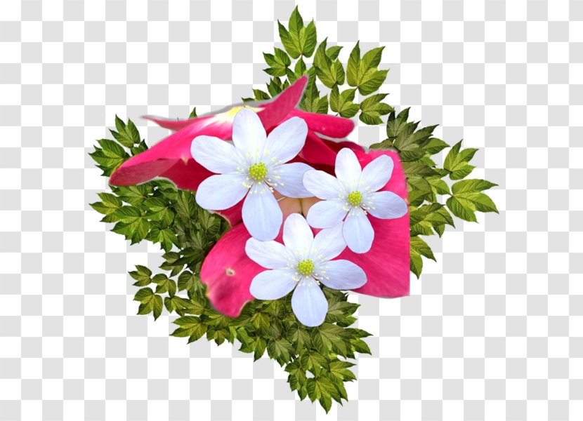 Floral Design Photography Picture Frames - Herbaceous Plant - Flower Bouquet Transparent PNG