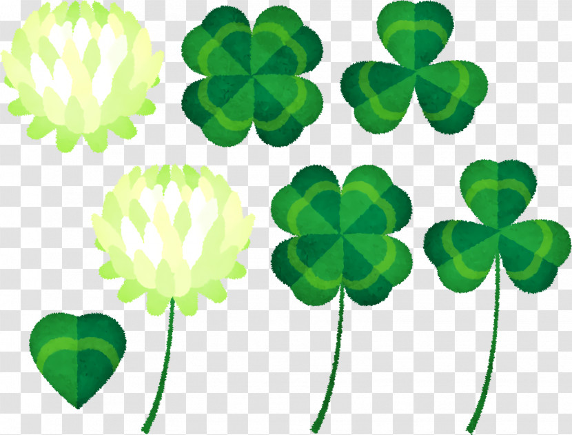 Shamrock Transparent PNG