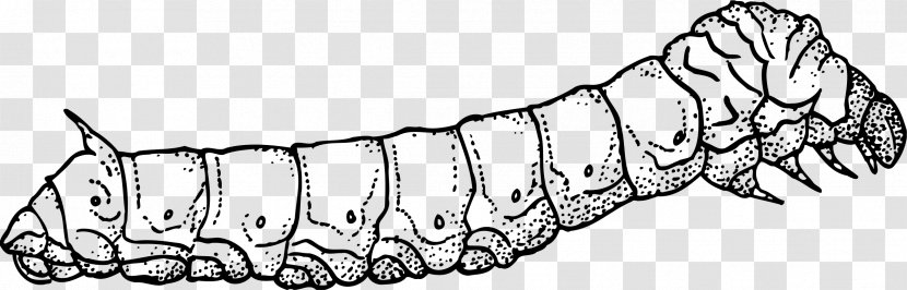 Caterpillar Clip Art - Arm - Moth Transparent PNG